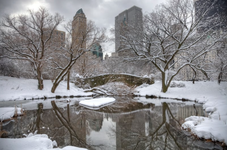 New York City Winter